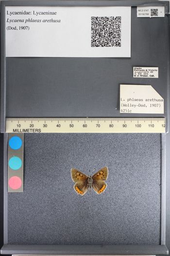 Media type: image;   Entomology 192768
